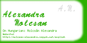 alexandra molcsan business card