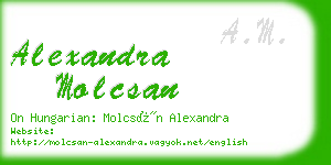 alexandra molcsan business card